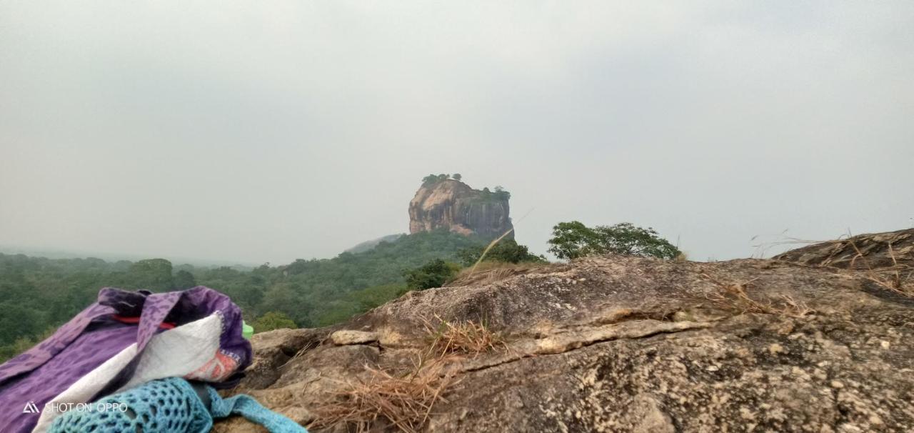 The Traveller'S Hostel & Private Rooms Sigiriya Luaran gambar